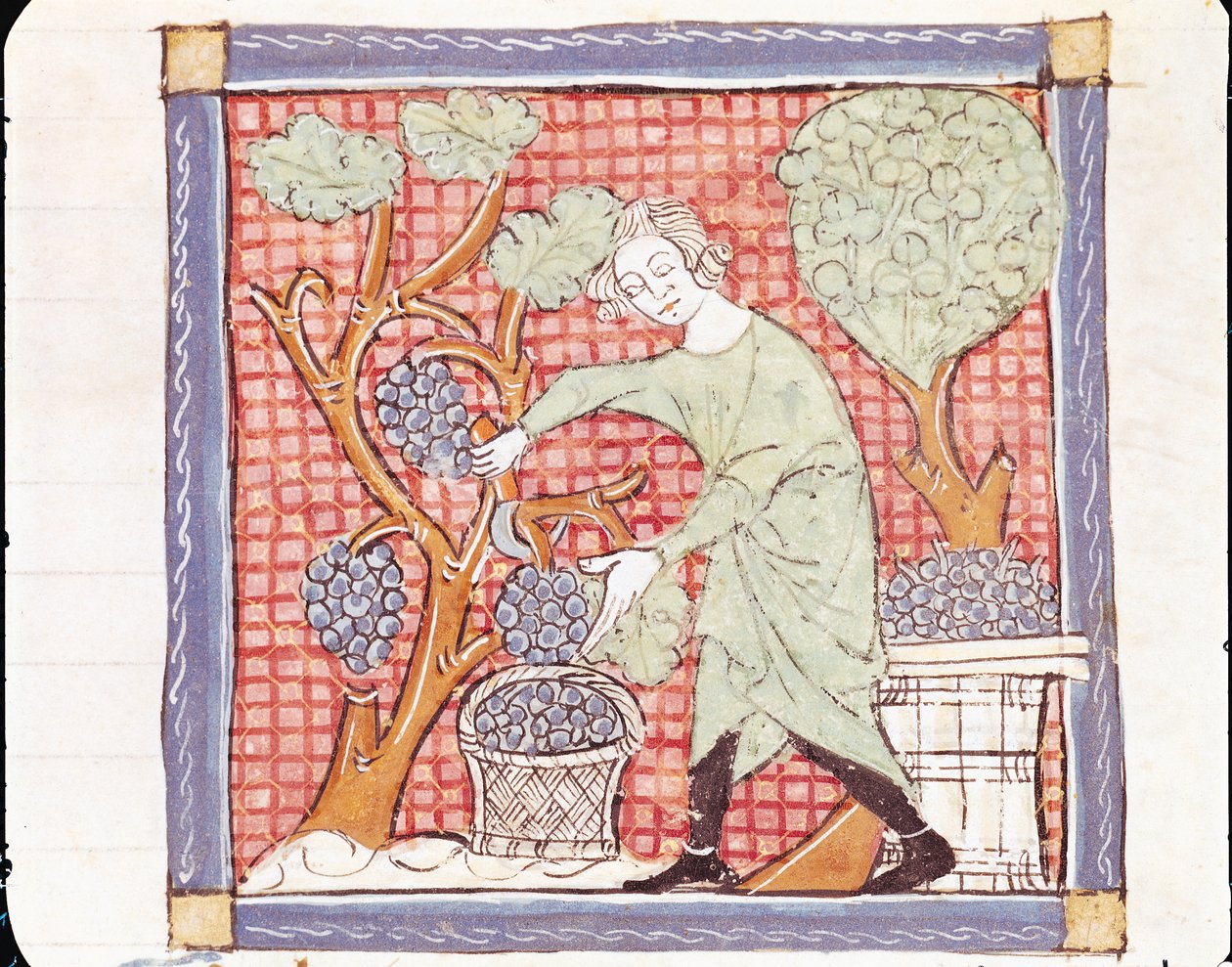 Fol.59 de setembro: a colheita de Matfre Ermengaut