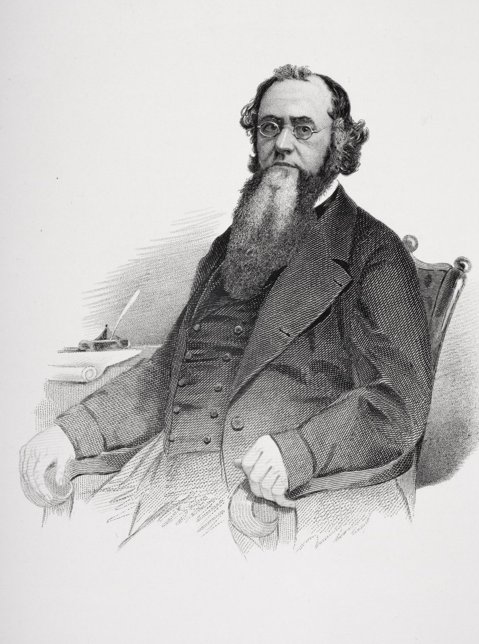 Retrato de Edwin M. Stanton (1814-1869) de Mathew B. Brady
