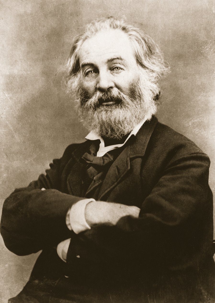Walt Whitman (fotogravura) de Mathew B. Brady
