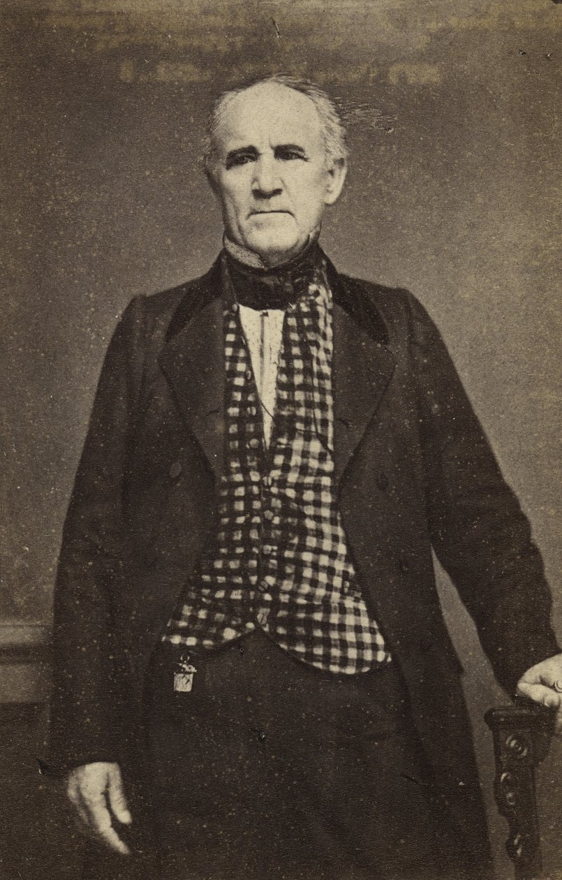 Sam Houston, c.1860-65 (albumen silver print) de Mathew B. Brady
