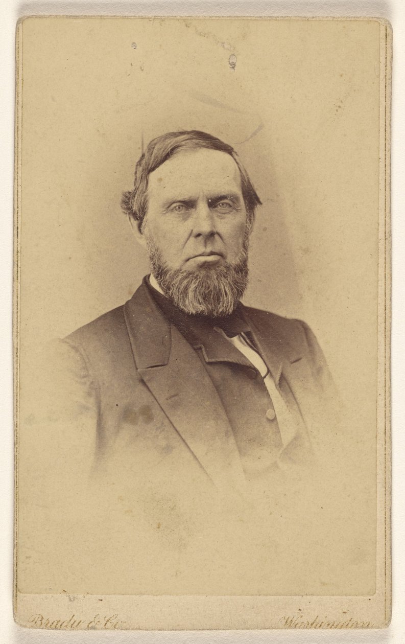 [Homem barbudo não identificado, representado em estilo vinheta] de Mathew B. Brady