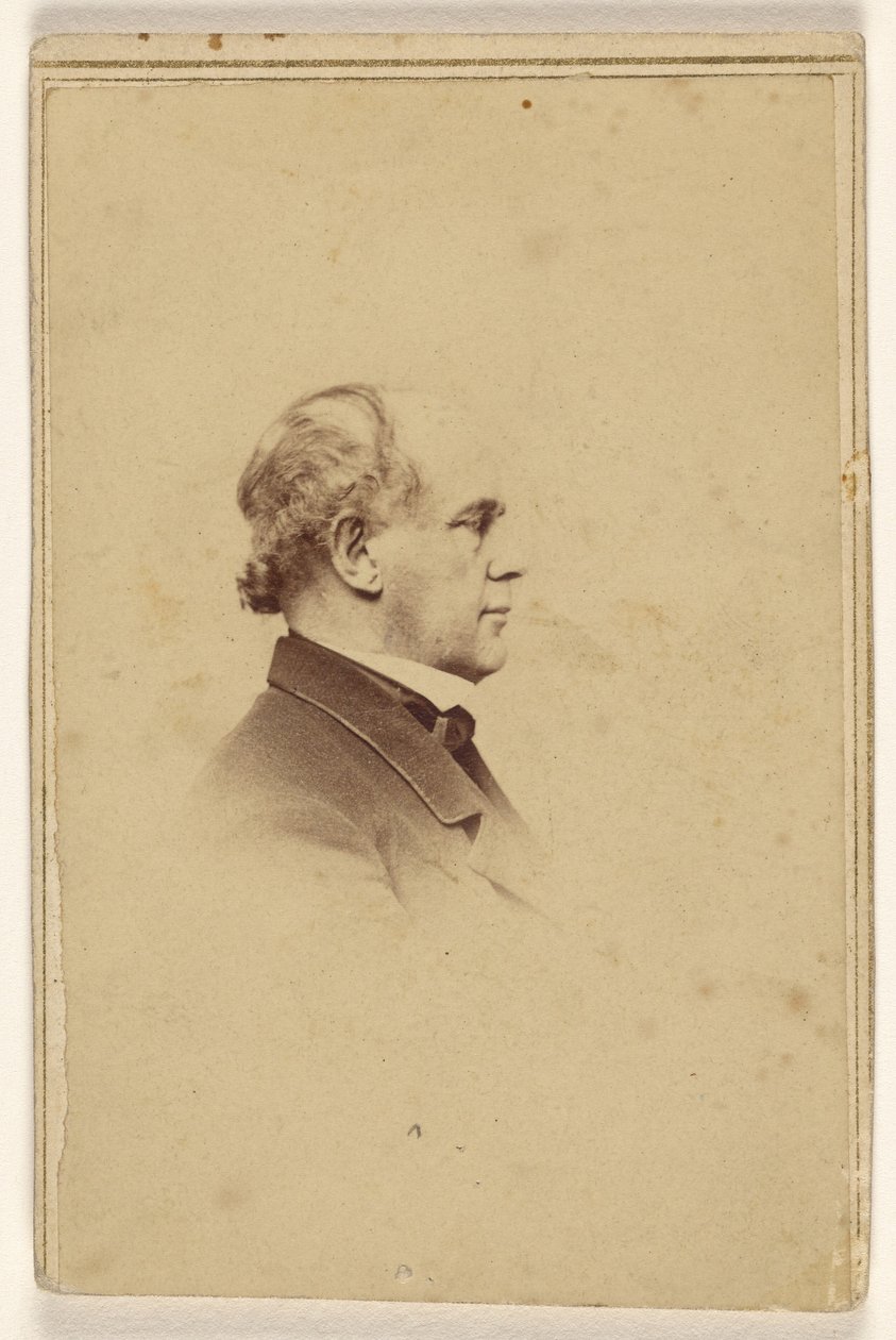 [Homem não identificado de perfil, impresso em estilo de vinheta] de Mathew B. Brady