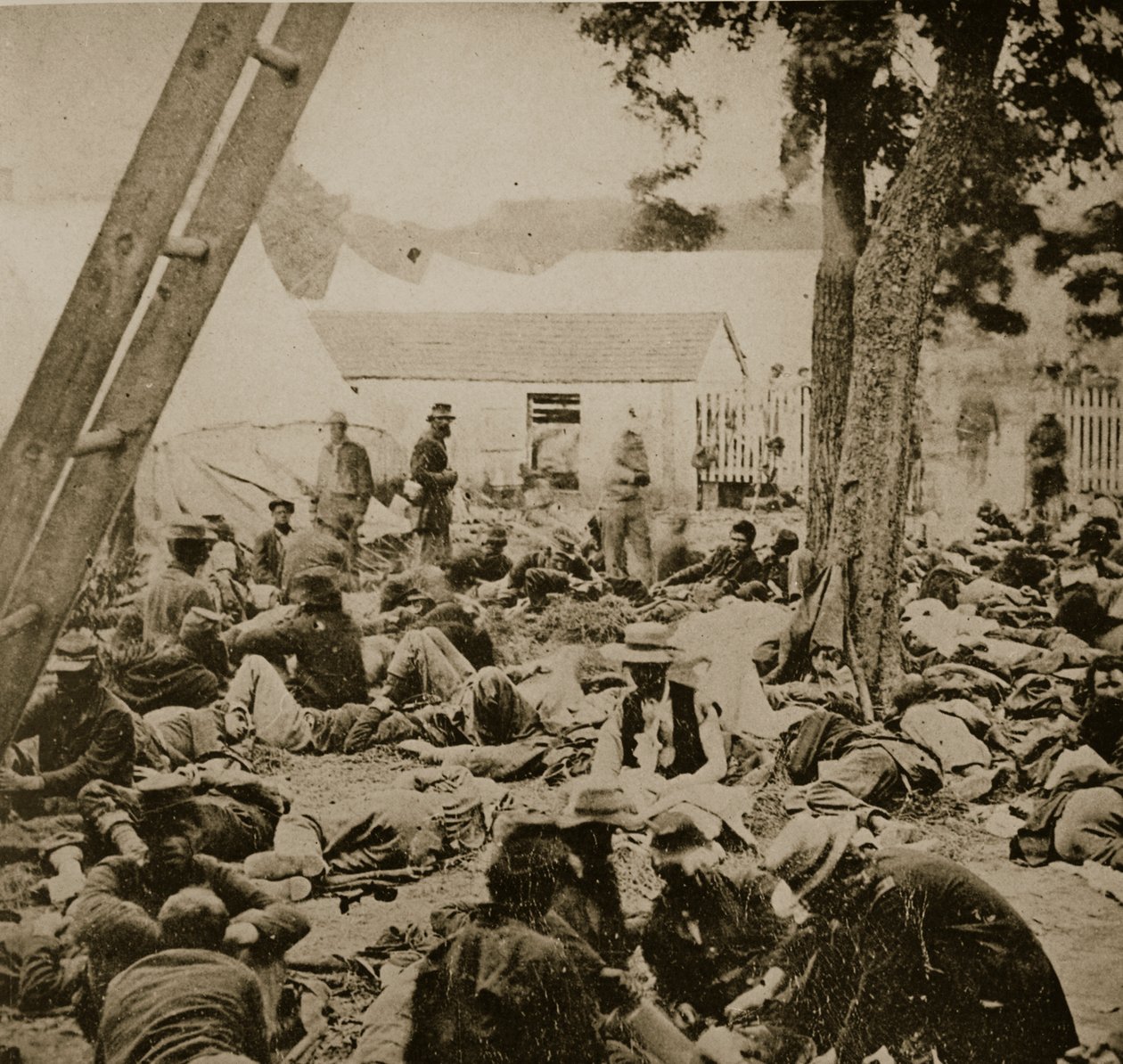 Uma cena de hospital de campo na estação de Savage, 29 de junho de 1862 de Mathew B. Brady