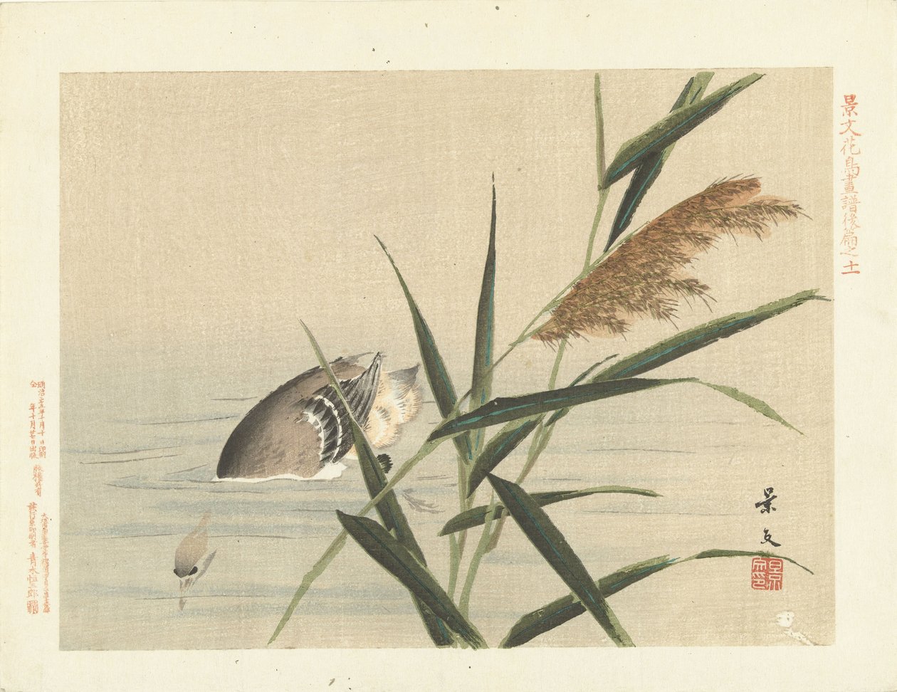 Pato de mergulho por junco Flower and Bird Sketches from Keibun - parte três (título da série) Keibun kacho gafu kohen (título da série no objeto) de Matsumura Keibun