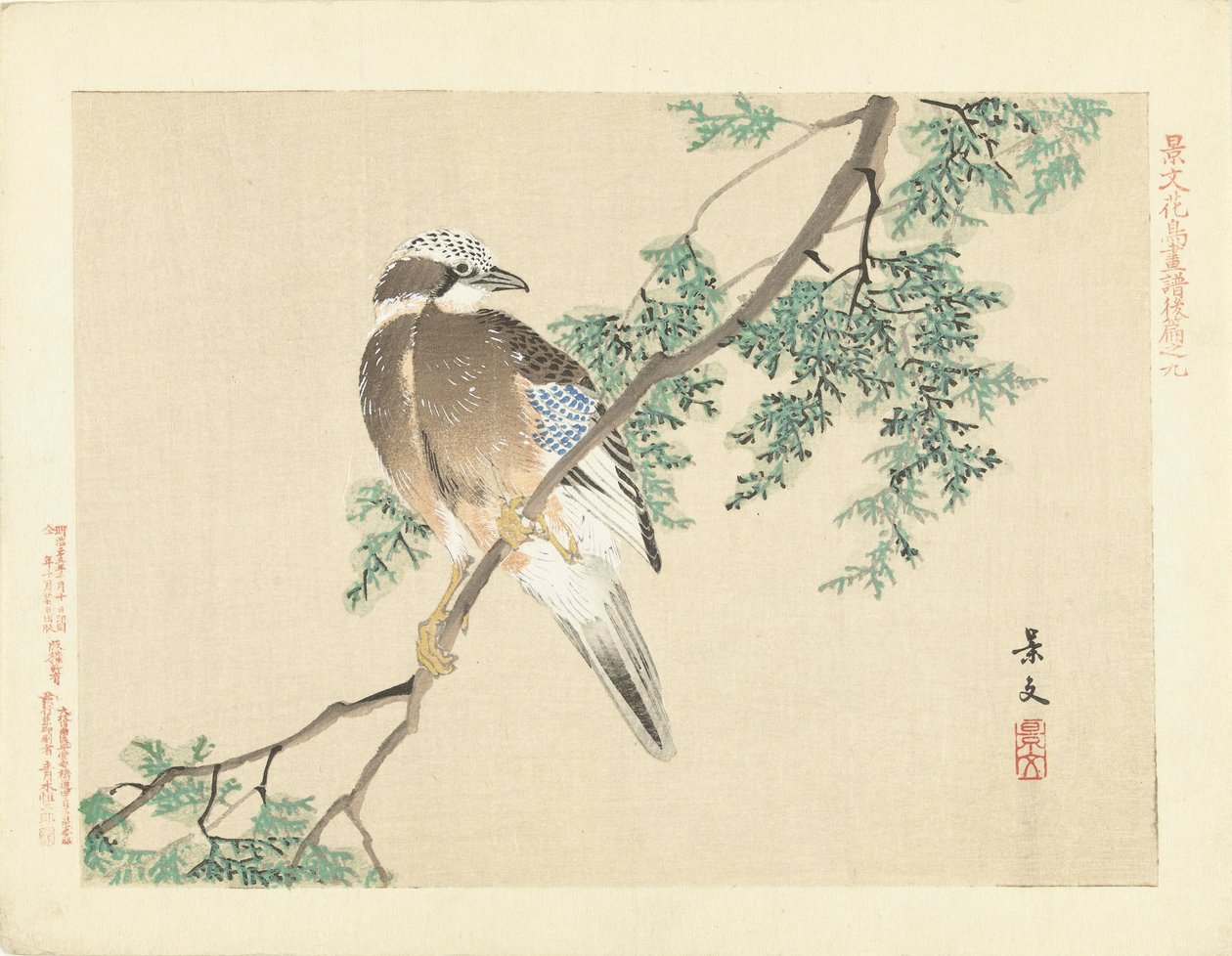 Jay em um galho de Matsumura Keibun