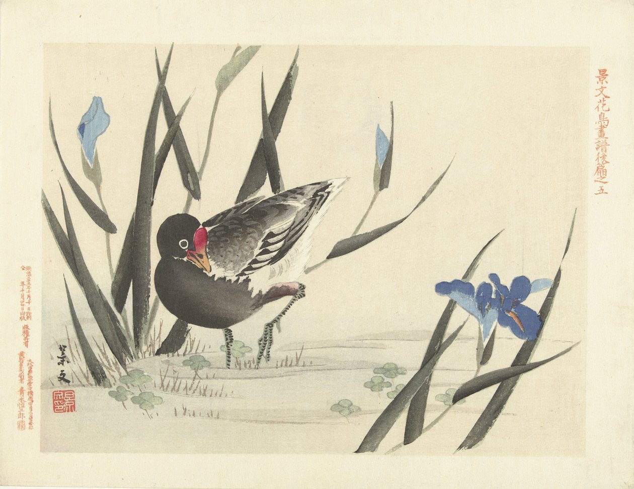 Galeirão entre íris azuis Flower and Bird Sketches from Keibun - parte três (título da série) Keibun kacho gafu kohen (título da série no objeto) de Matsumura Keibun