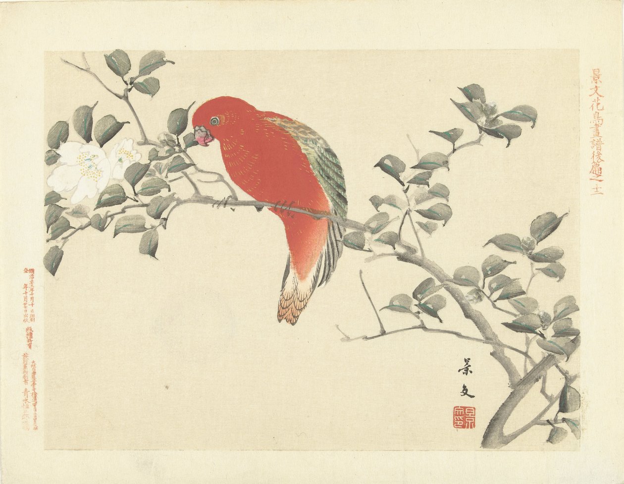 Papagaio vermelho no galho com flores brancas Flower and Bird Sketches of Keibun - parte três (título da série) Keibun kacho gafu kohen (título da série no objeto) de Matsumura Keibun