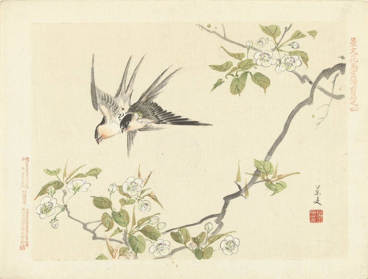 Duas andorinhas
Esboços de flores e pássaros por Keibun - parte um (título da série)
Keibun kacho gafu zenpen (título da série sobre o objecto) de Matsumura Keibun