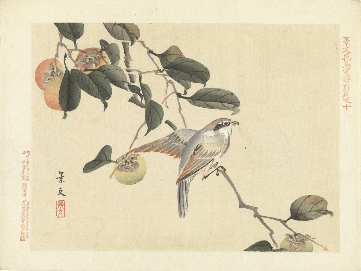 Ave e dióspiro
Esboços de flores e pássaros por Keibun - parte um (título da série)
Keibun kacho gafu zenpen (título da série sobre o objecto) de Matsumura Keibun