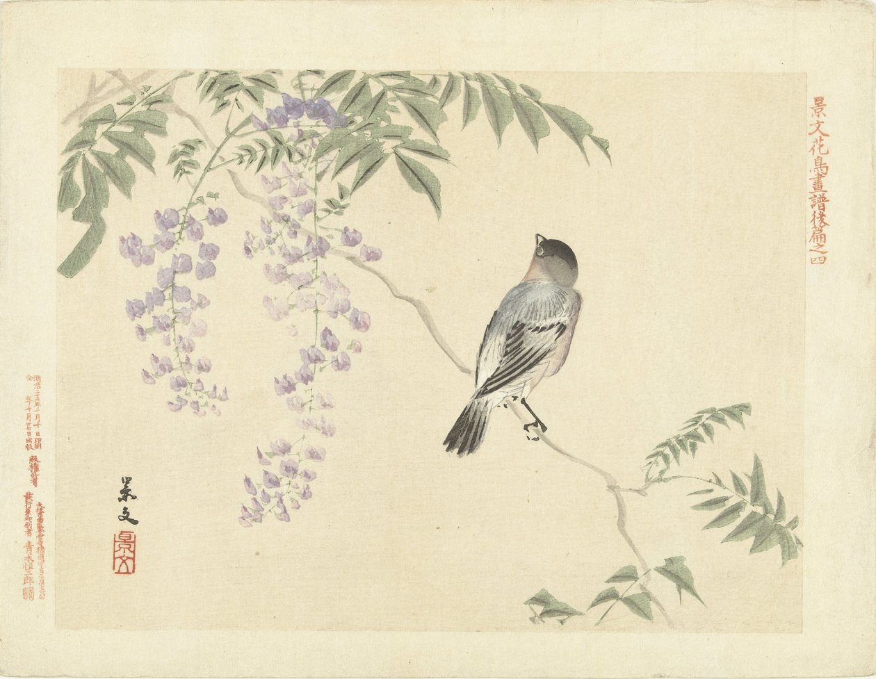 Pássaro no galho de glicínias Flower and Bird Sketches of Keibun - parte três (título da série) Keibun kacho gafu kohen (título da série no objeto) de Matsumura Keibun