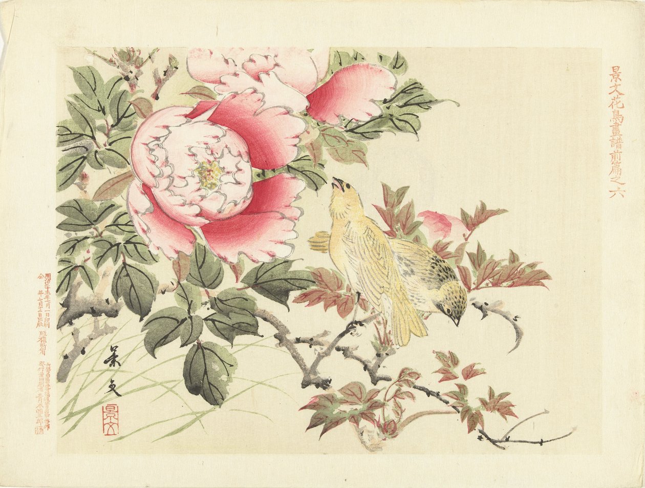Pássaros e peónias
Esboços de flores e pássaros por Keibun - parte um (título da série)
Keibun kacho gafu zenpen (título da série sobre o objecto) de Matsumura Keibun