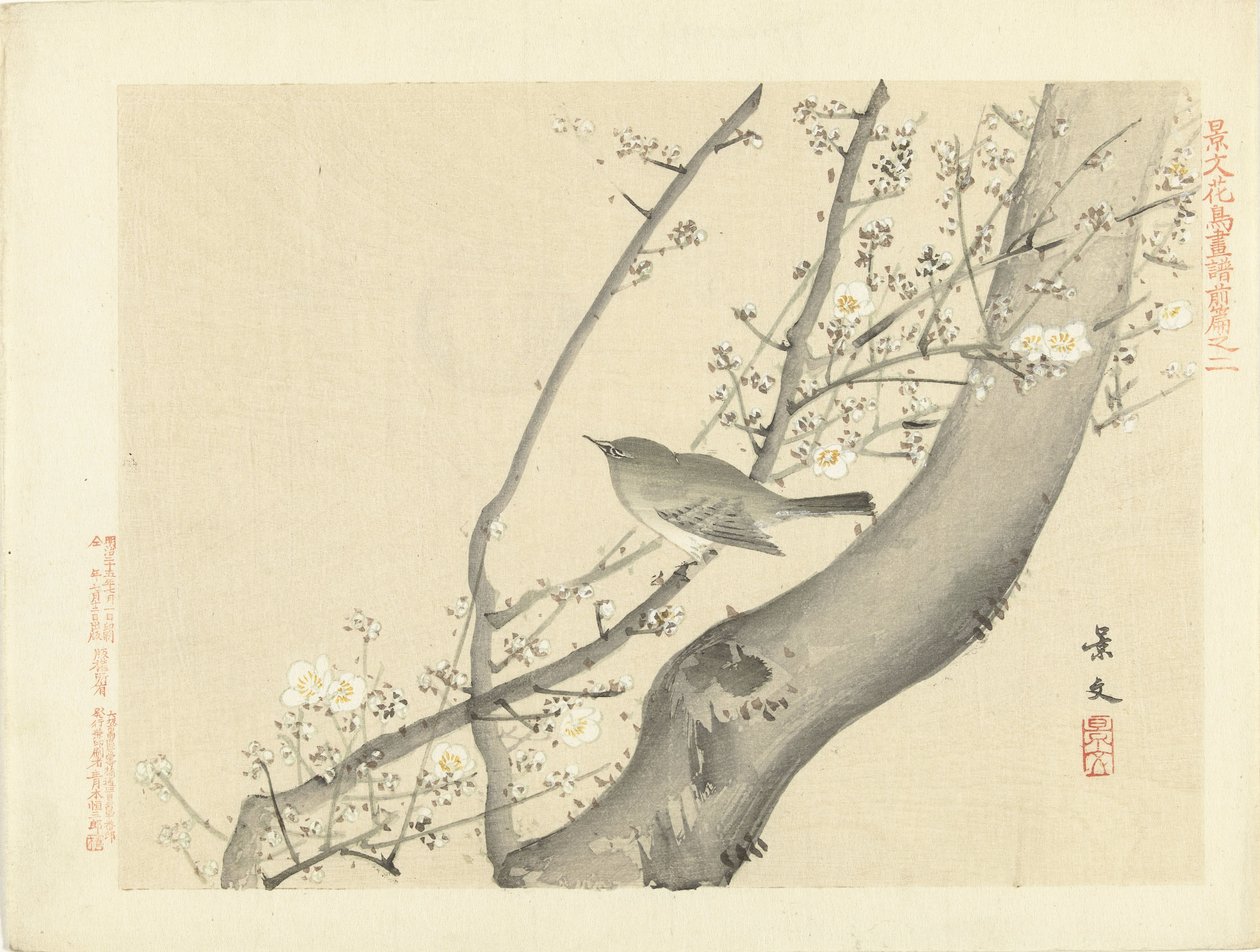 Pássaro pequeno em árvore com flor branca
Esboços de flores e pássaros por Keibun - parte um (título da série)
Keibun kacho gafu zenpen (título da série sobre o objecto) de Matsumura Keibun