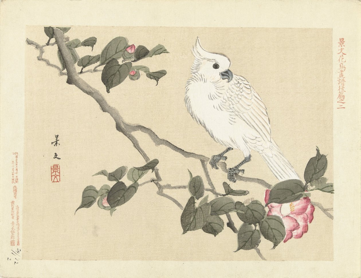 Cacatua branca no ramo de camélia Flower and Bird Sketches of Keibun - parte três (título da série) Keibun kacho gafu kohen (título da série no objeto) de Matsumura Keibun