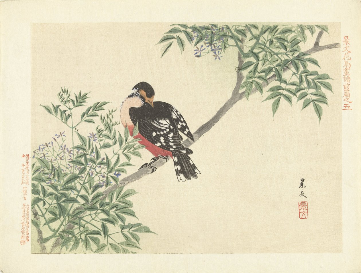 pássaro preto-vermelho Flower and Bird Sketches from Keibun- parte um (título da série) Caneta Keibun kacho gafu zen (título da série no objeto) de Matsumura Keibun