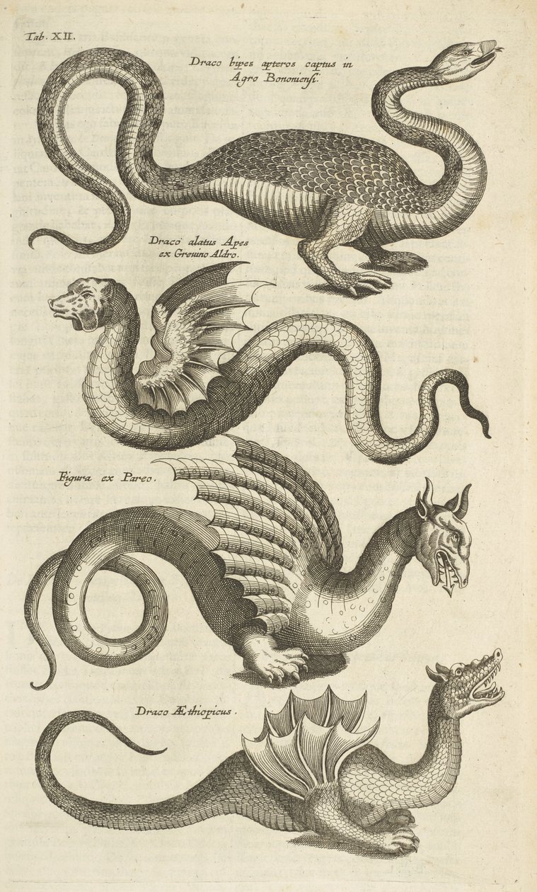 Tab XII, criaturas míticas, dragões, ilustração de 