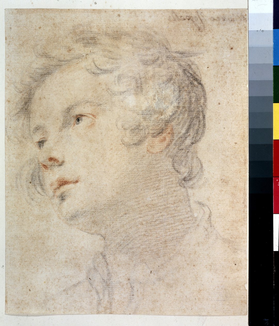 Cabeça de um menino. Pintura de Matteo Rosselli (1578-1650). Giz e giz vermelho sobre papel de Matteo Rosselli
