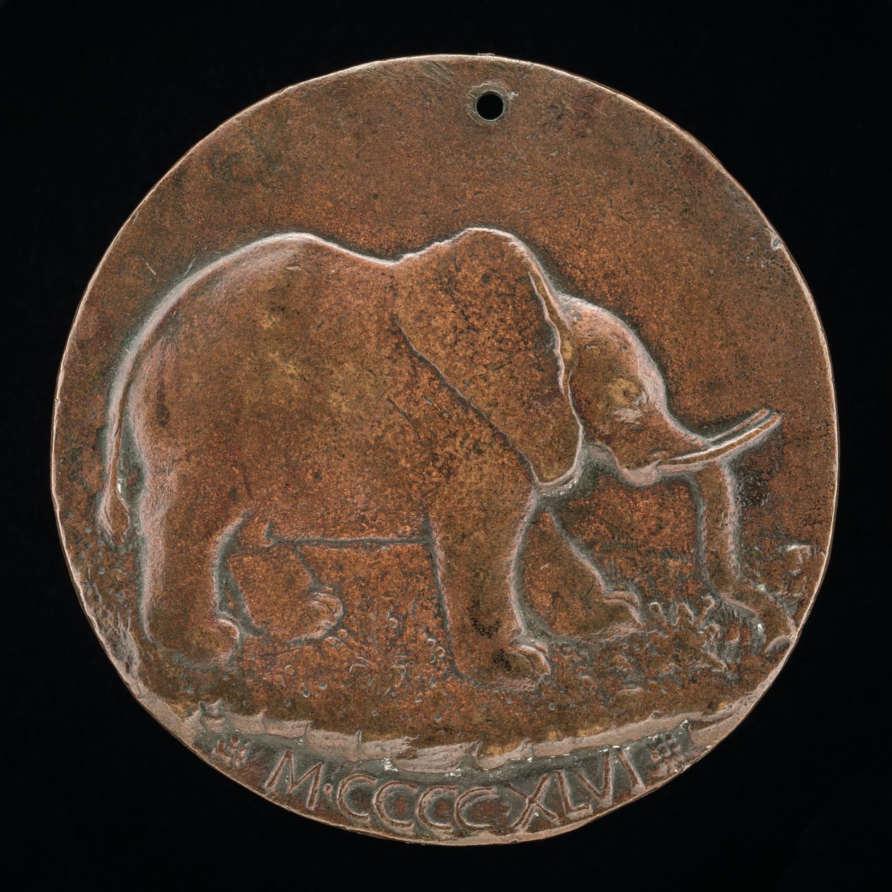 O Elefante Malatesta em um Prado [reverso], 1446. de Matteo di Andrea de Pasti