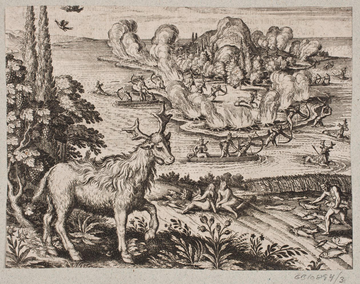 Aqui não posso deixar de considerar a criatura particularmente maravilhosa que os nativos chamam de Mosse de Matthäus Merian d.Æ.