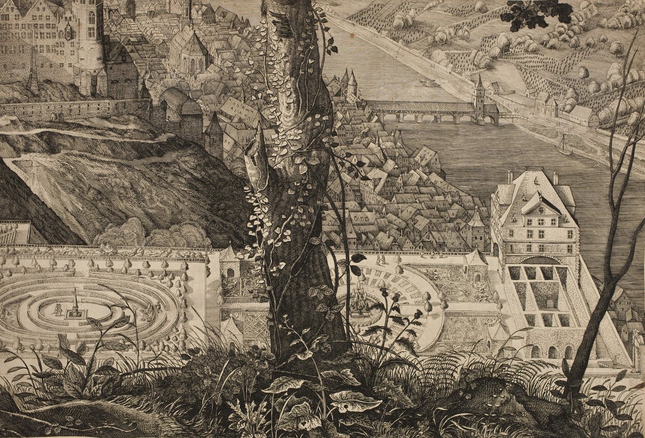 Horto Palatino. Jardim do Castelo de Heidelberg de Matthäus Merian d.Æ.