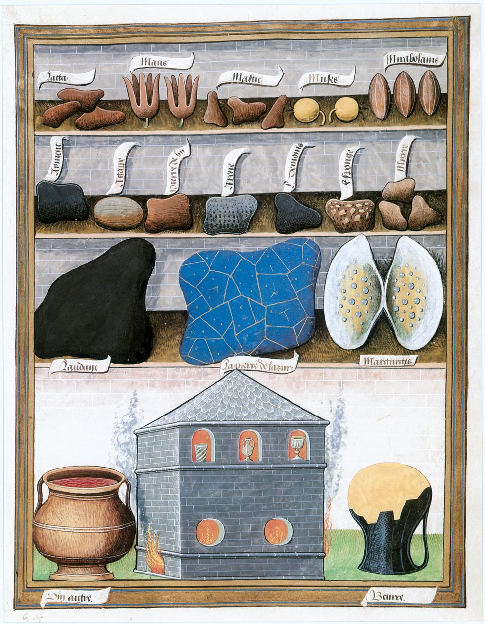 Le Livre des Simples Medecines, fim do século XV, início do século XVI (pergaminho) de Matthaeus Platearius