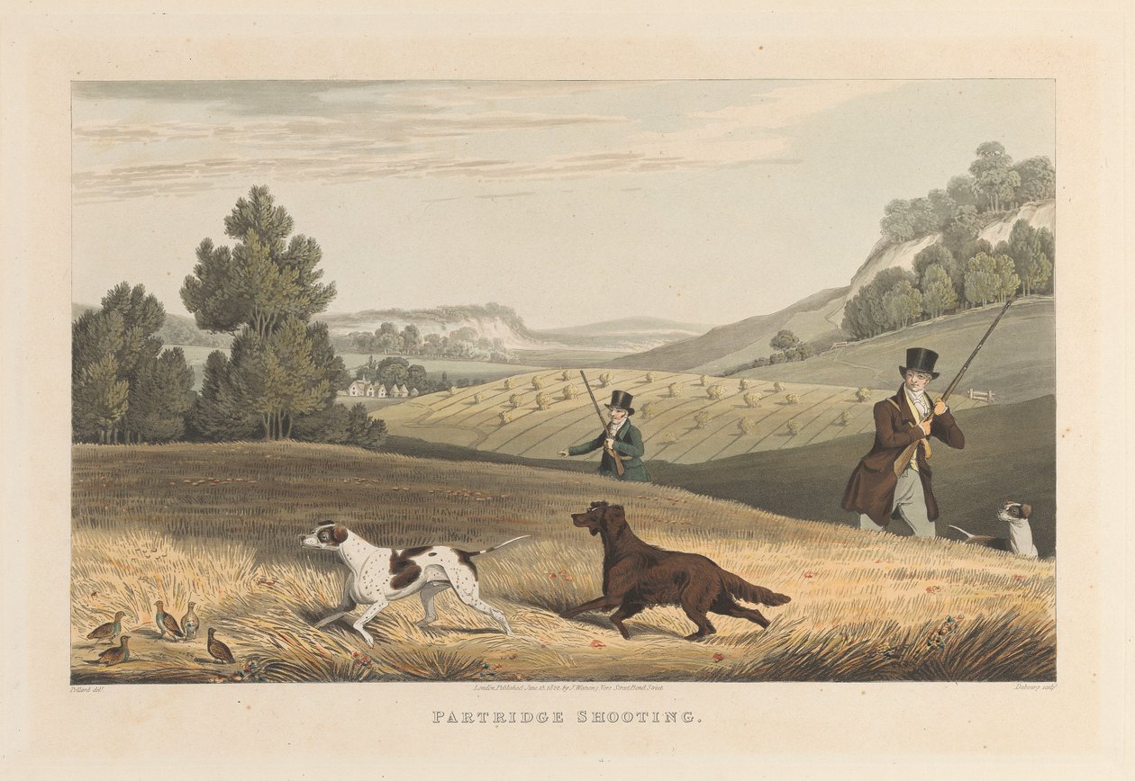 Tiro à perdiz de Matthew Dubourg