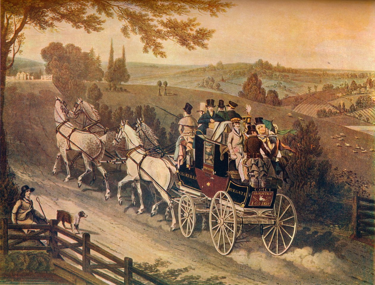 Treinador de palco, século c19 de Matthew Dubourg