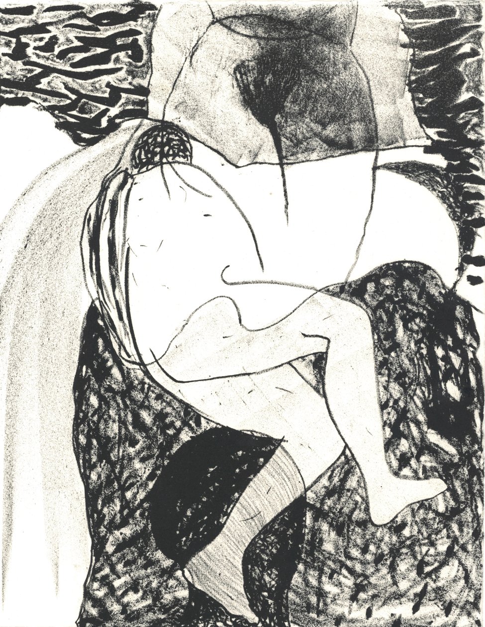Des Bêtes" Livro de artista 3, 2018 (litografia) de Matthew Hilton