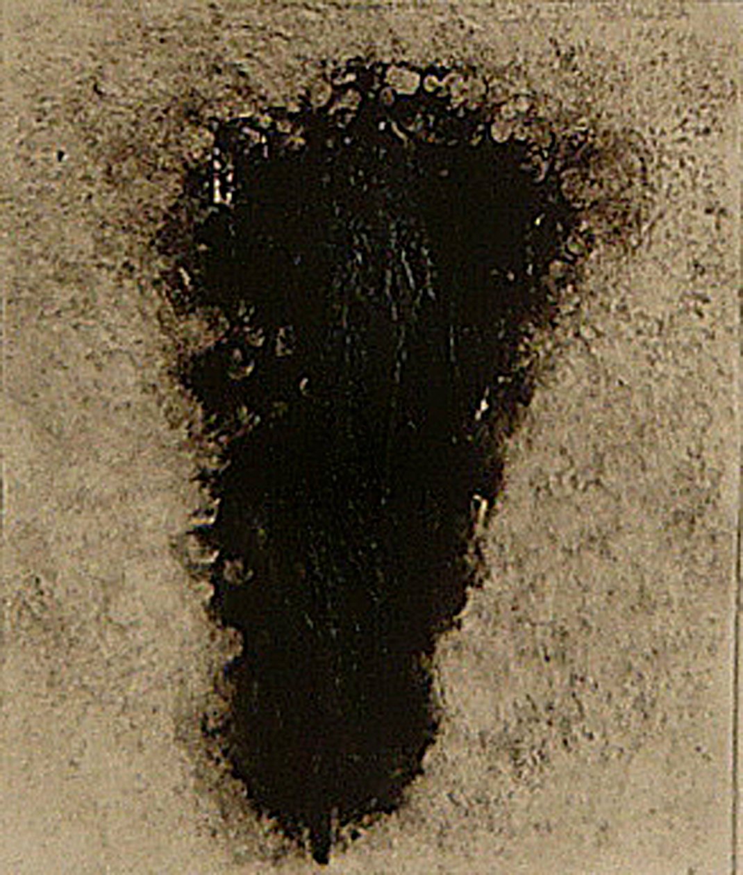 ossie, 2009 (helioprint) de Matthew Hilton