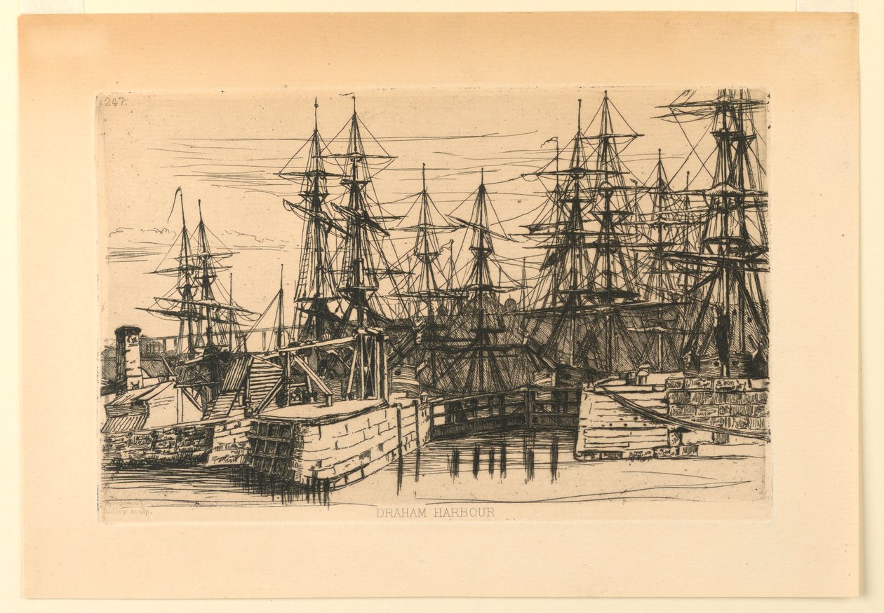 porto de dirham de Matthew White Ridley