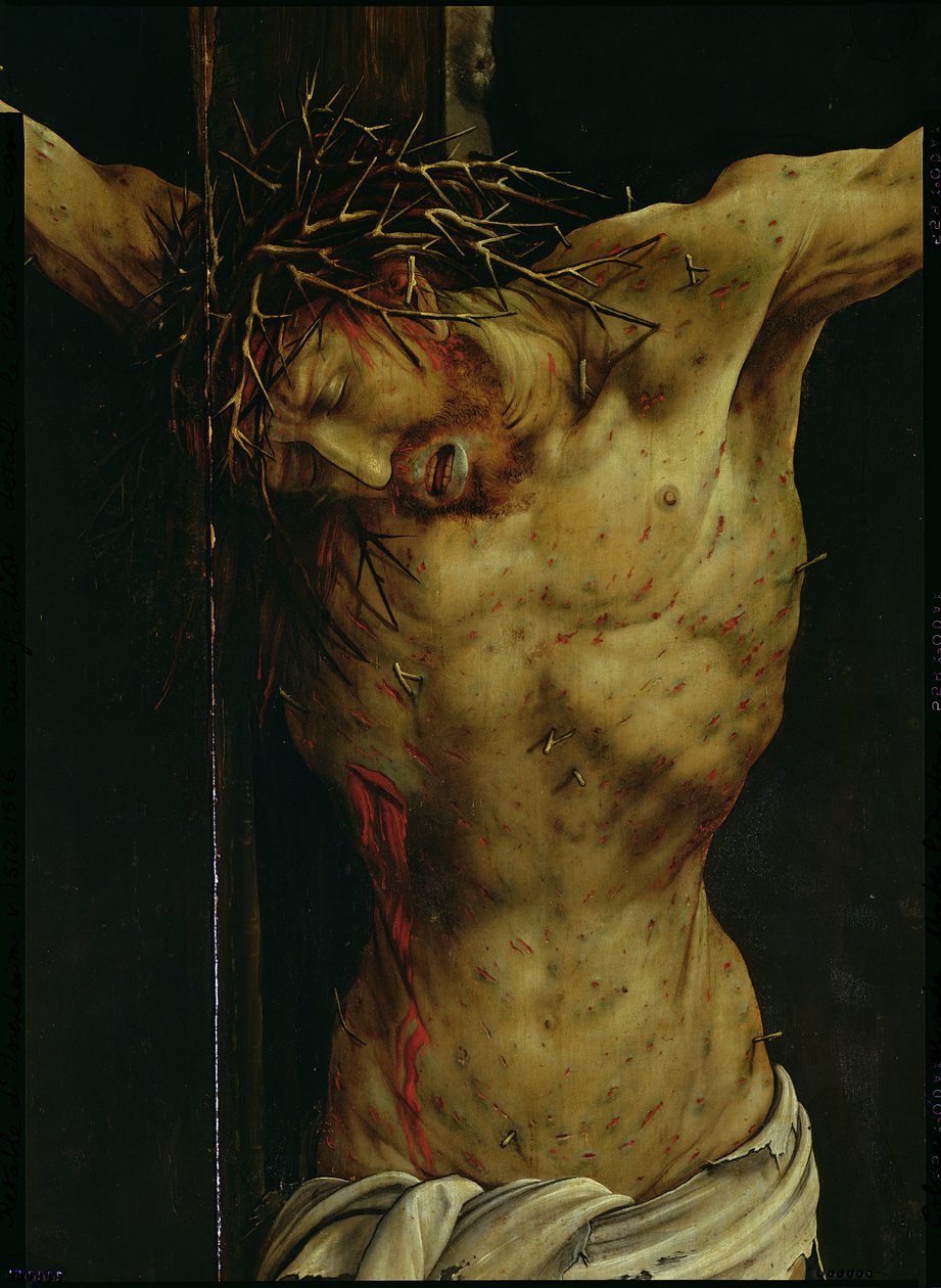 A crucificação do retábulo de Isenheim, detalhe do torso de Cristo, c.1512-16 óleo no detalhe do painel de Matthias Grünewald