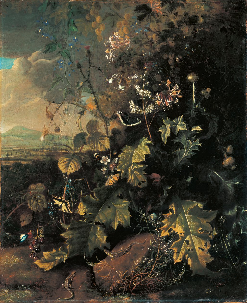 Chão da floresta com borboletas e lagartos de Matthias Withoos