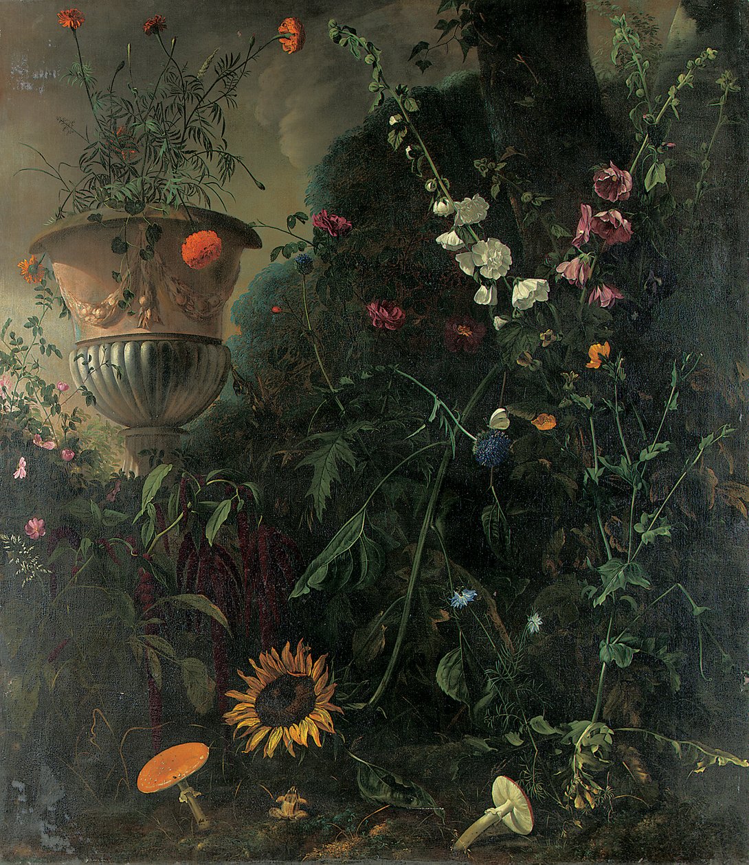 Malvas-rosa, rosas, uma flor de renda azul, girassol e cogumelos, com malmequeres em uma urna perto de uma árvore de Matthias Withoos
