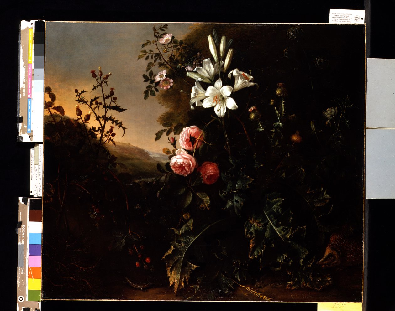 Still Life, c.1670 (óleo sobre tela) de Matthias Withoos