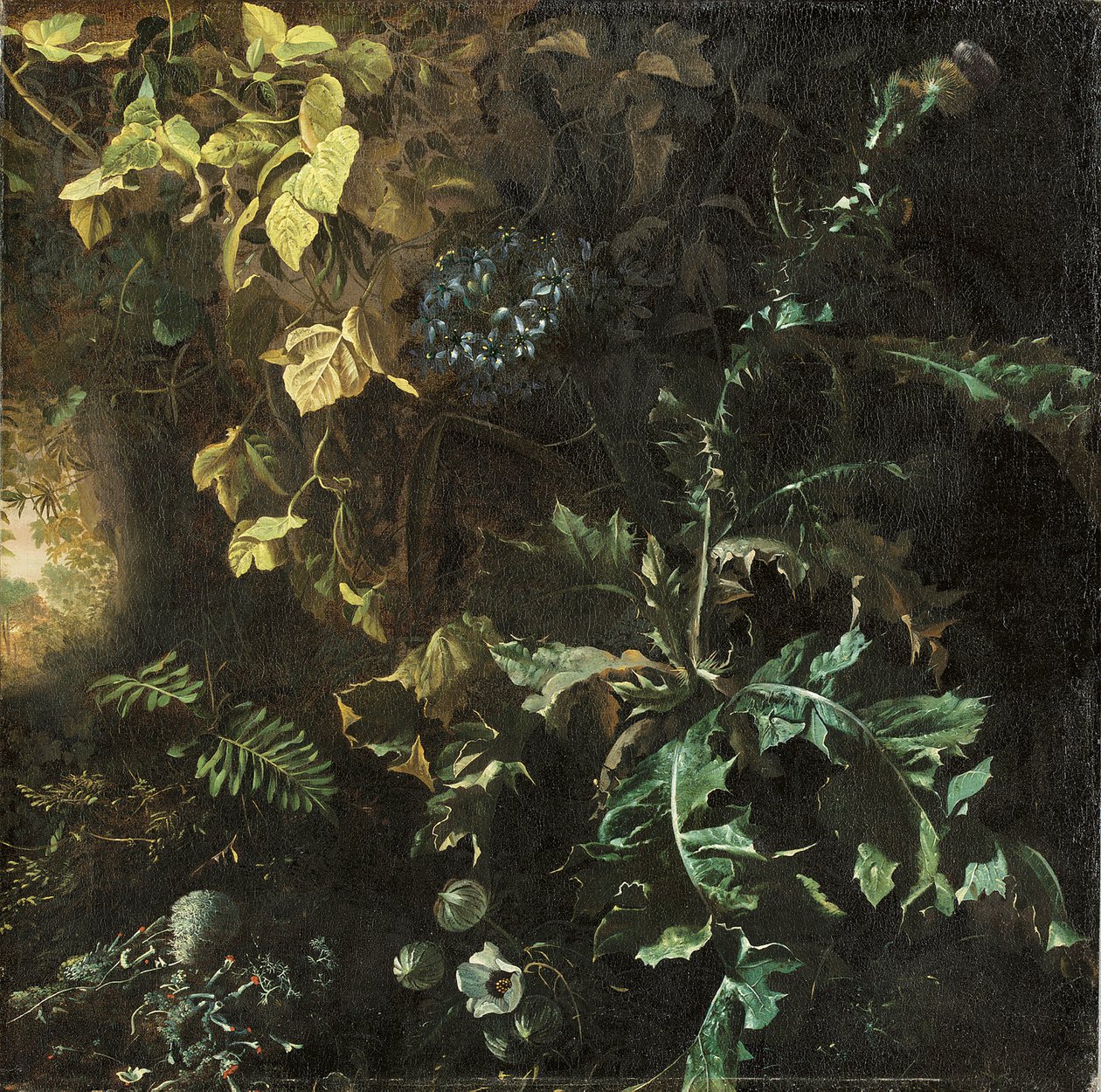 Cardos e outras plantas no chão da floresta, uma paisagem além, fragmento de Matthias Withoos