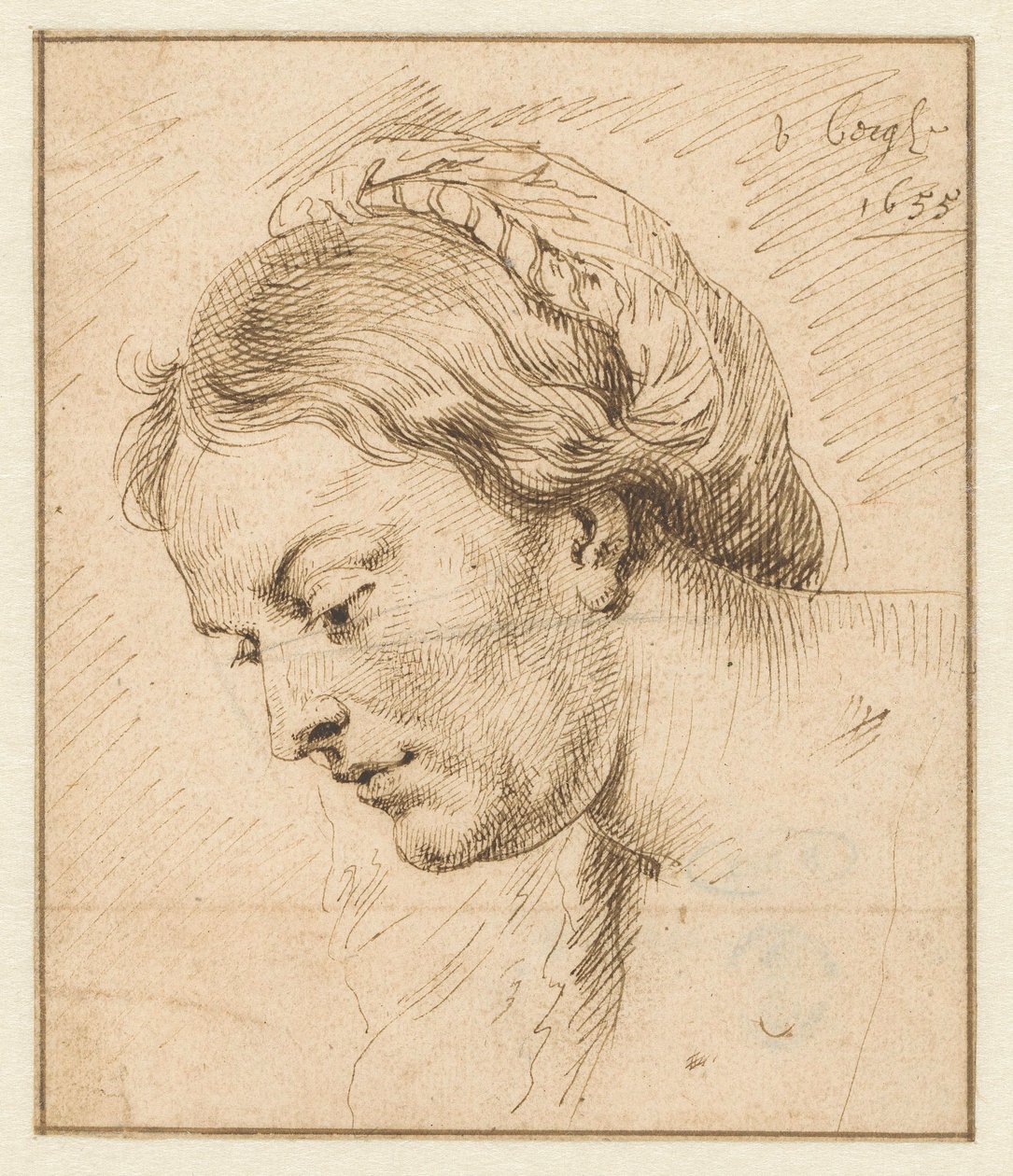 Cabeça da fêmea de Matthys van den Bergh