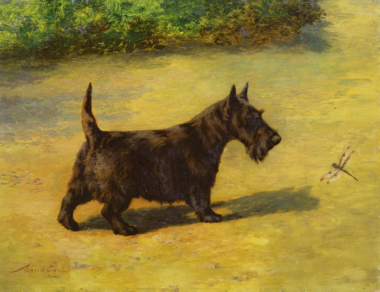 Um olhar inquisitivo de Maud Earl