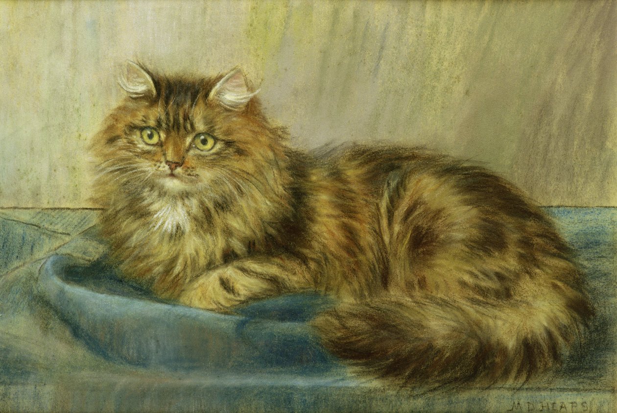 Pastel gato persa de Maud D. Heaps