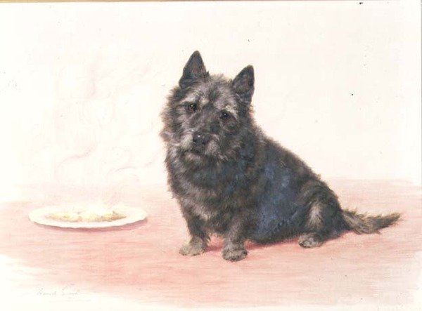 Jantar - um terrier escocês sentado junto a um prato de Maud Earl