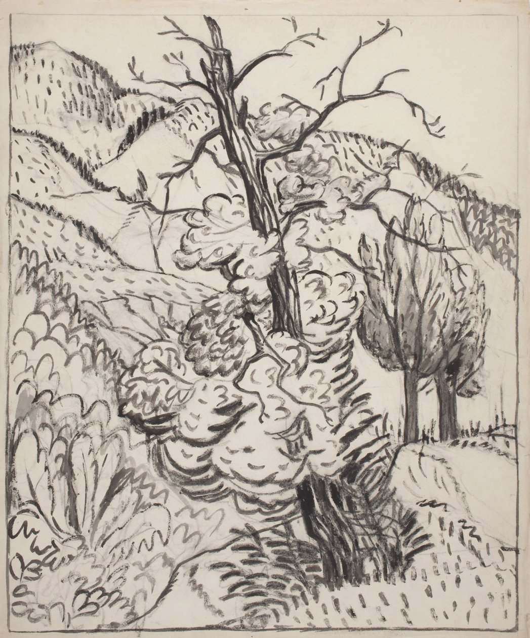 Árvore na encosta de uma montanha, c.1930 (pincel, tinta e carvão sobre papel de trama branco) de Maud Hunt Squire