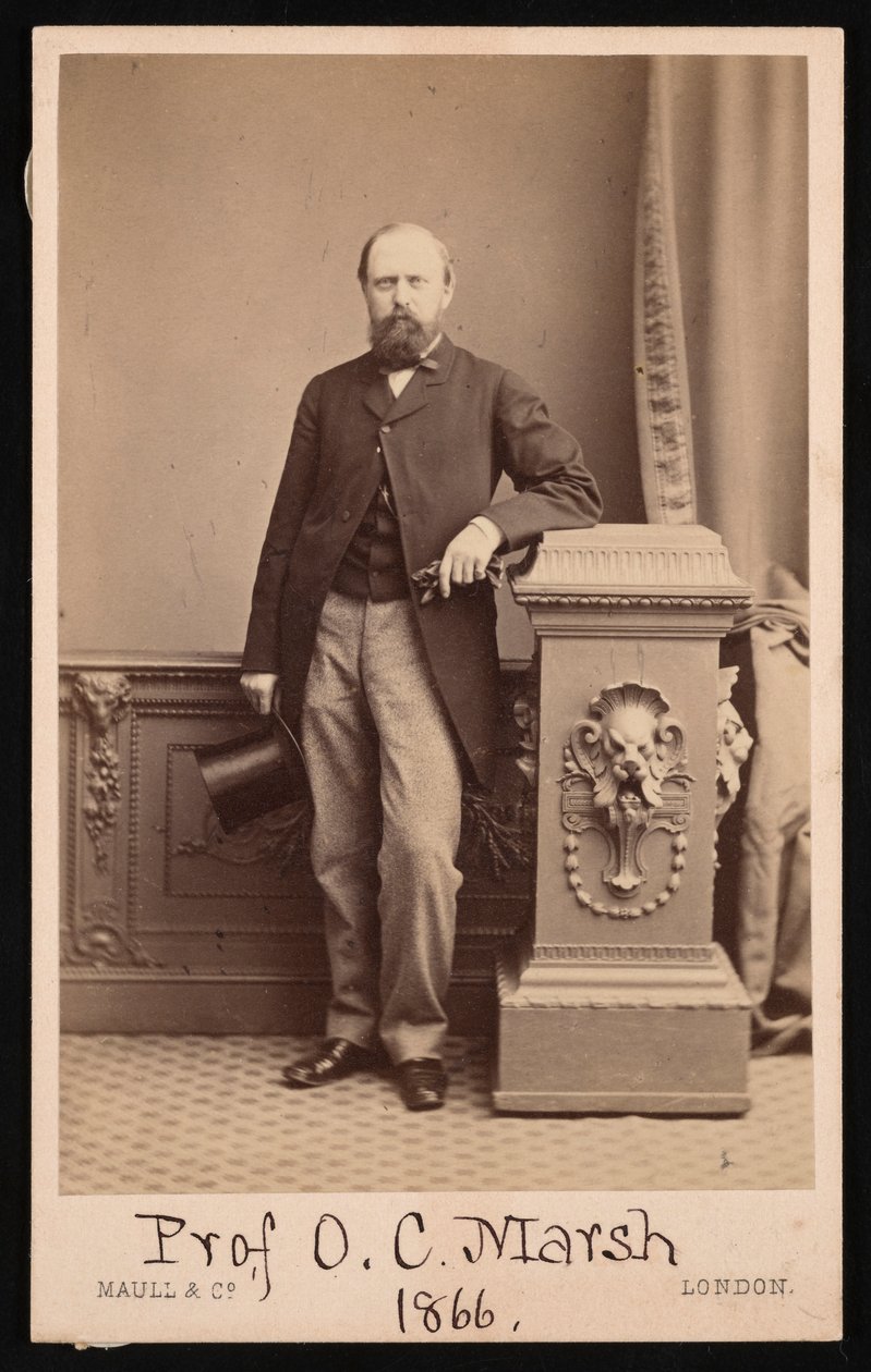Retrato de Othniel Charles Marsh 1831-1879, 1866. de Maull and Co