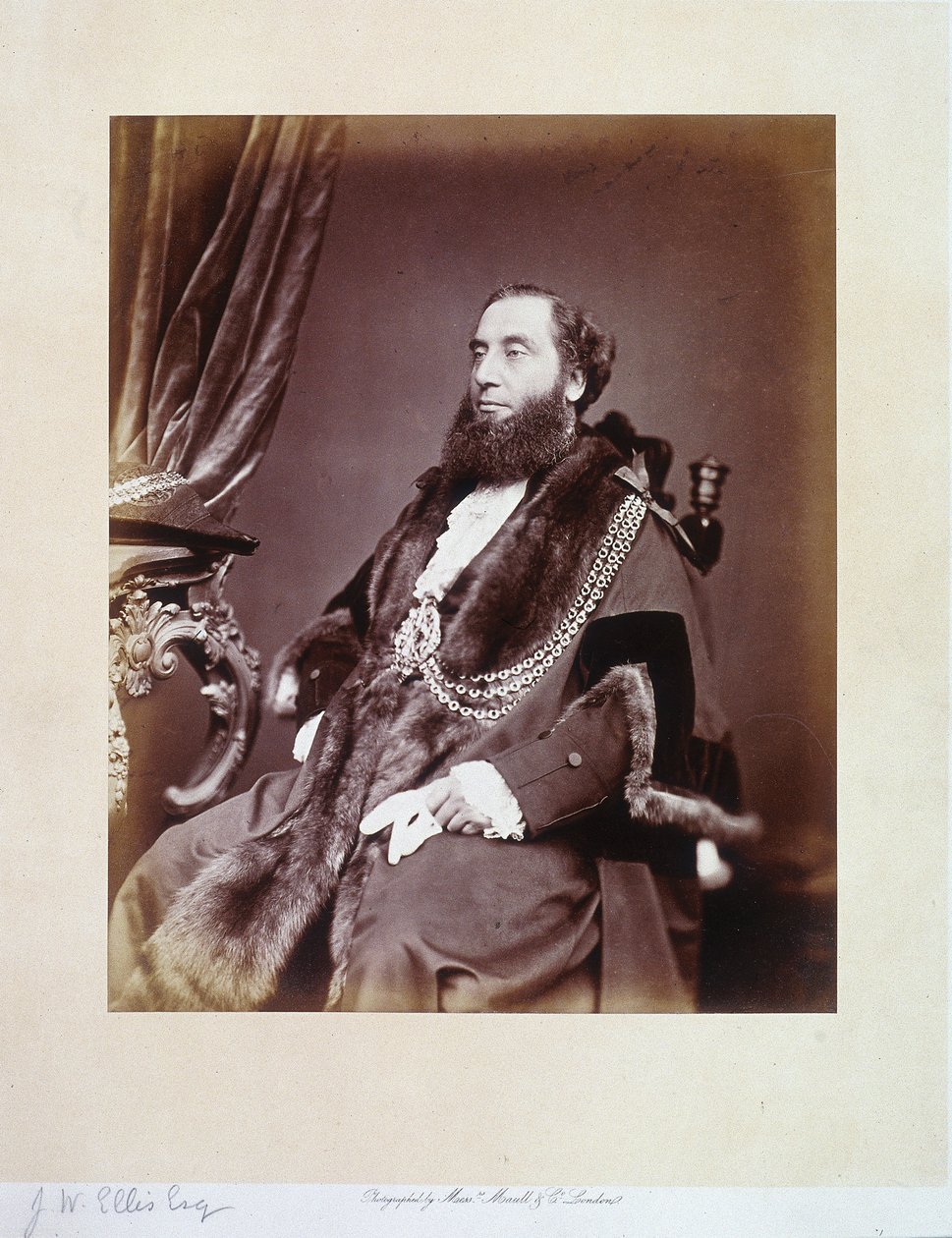 Sir John Whitaker Ellis, c1865 de Maull and Co