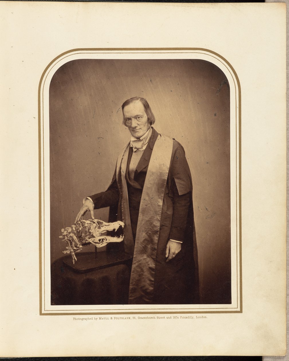 Professor Owen, F.R.S. de Maull and Polyblank