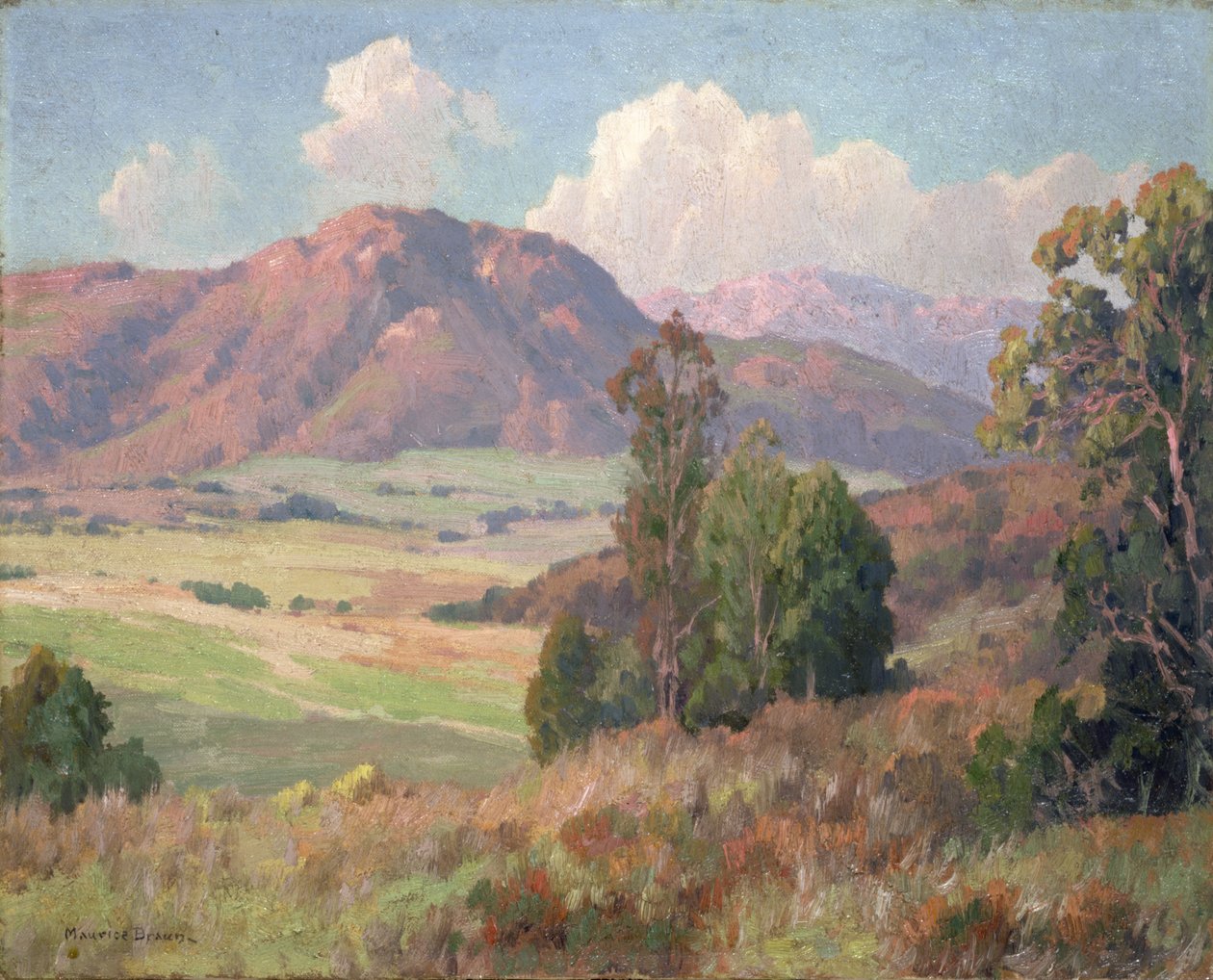 San Diego Hills (óleo sobre tela) de Maurice Braun