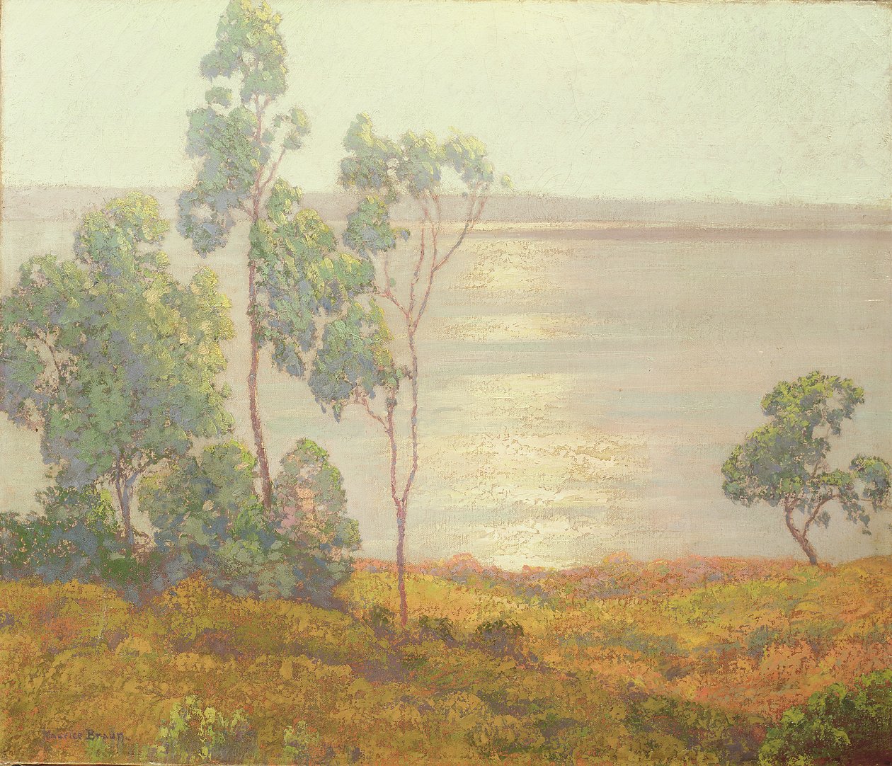 The Morning Sun, San Diego (óleo sobre tela) de Maurice Braun