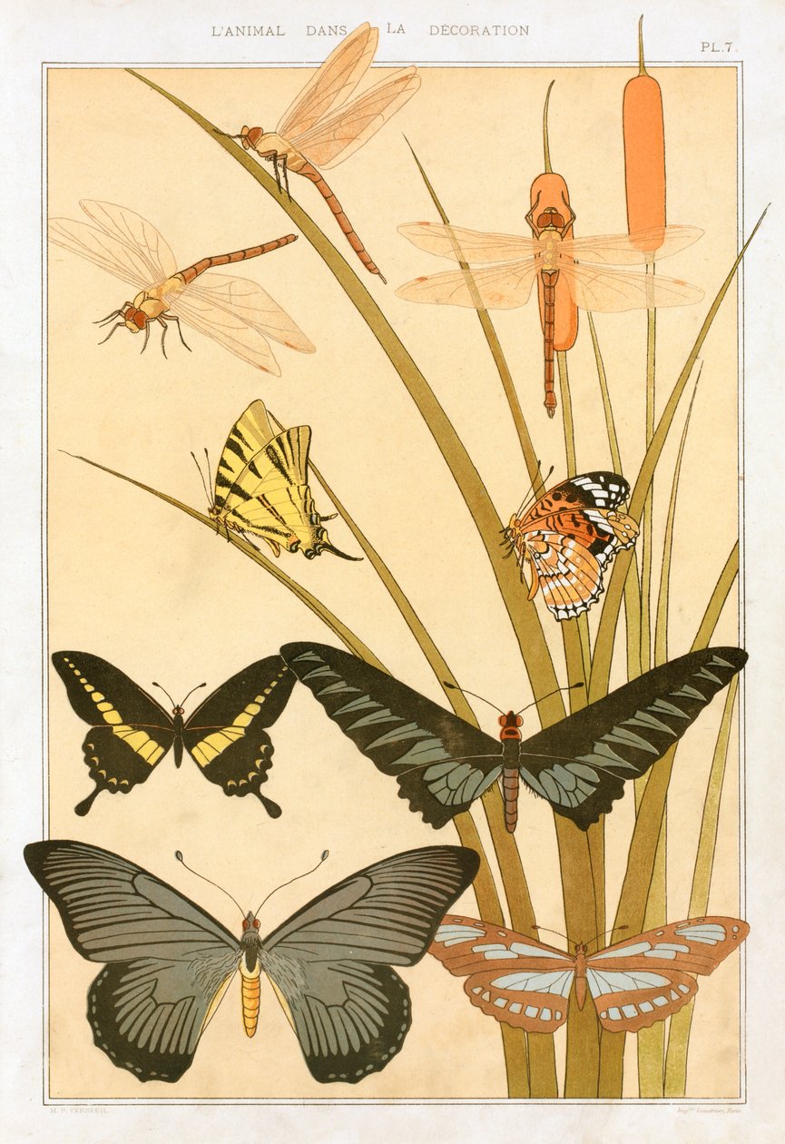 Borboletas, bar. 1897. de Maurice Pillard Verneuil