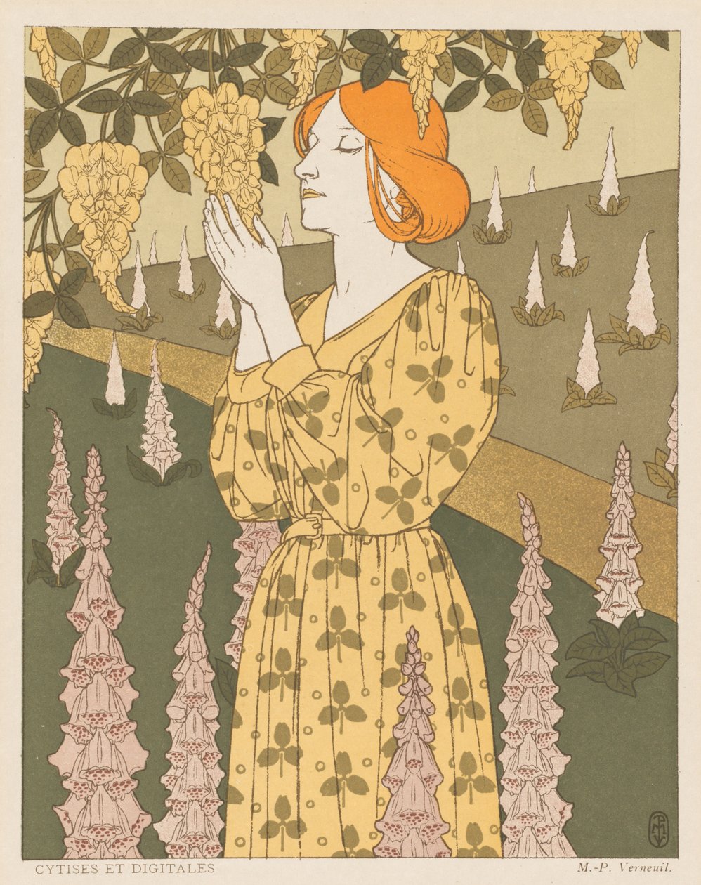 Cytis e Digitalis de Maurice Pillard Verneuil