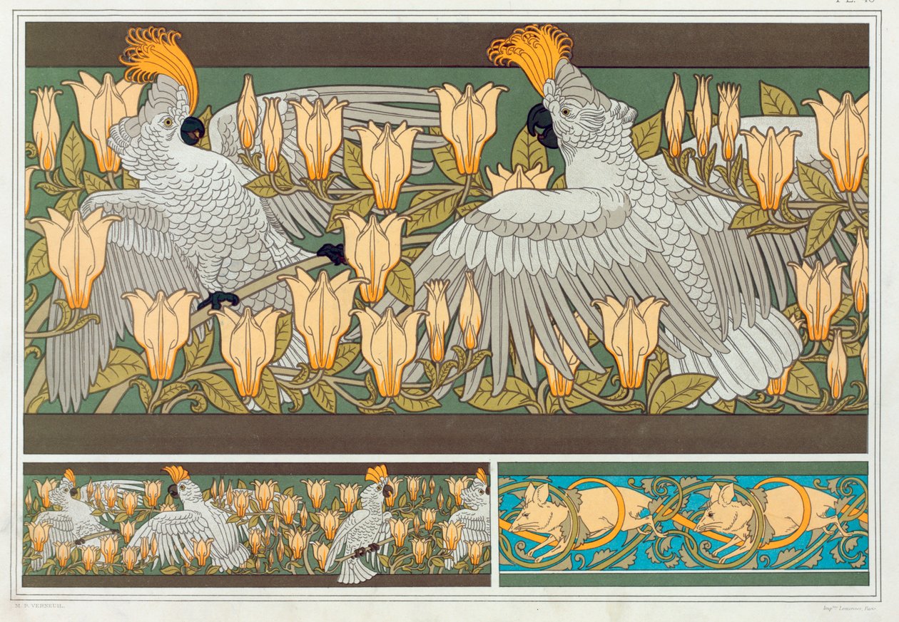 Design para fronteira de papel de parede Cacatua e Magnólia, pub. 1897. de Maurice Pillard Verneuil