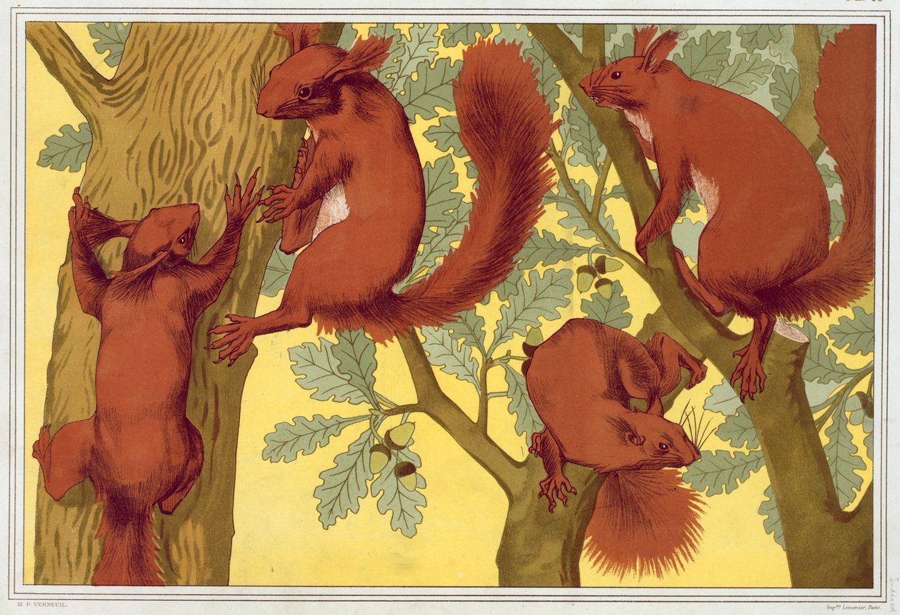 Esquilos, pub. 1897. de Maurice Pillard Verneuil
