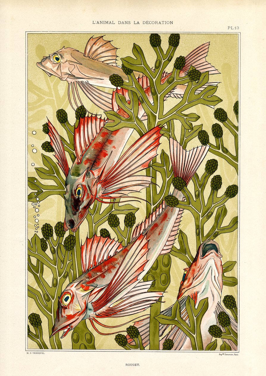 Peixe estilizado entre plantas marinhas (litografia) de Maurice Pillard Verneuil