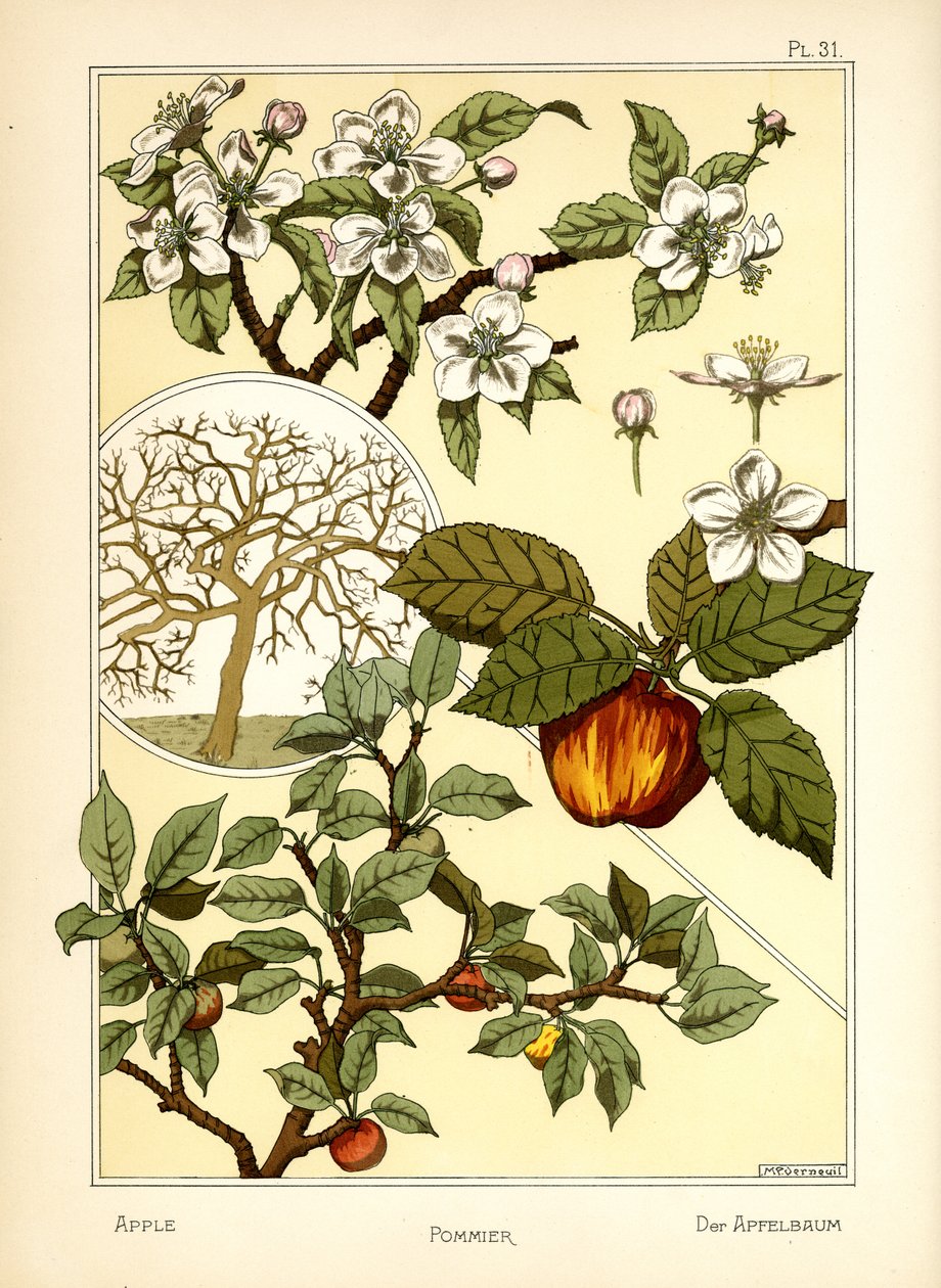 A macieira (cor litho) de Maurice Pillard Verneuil